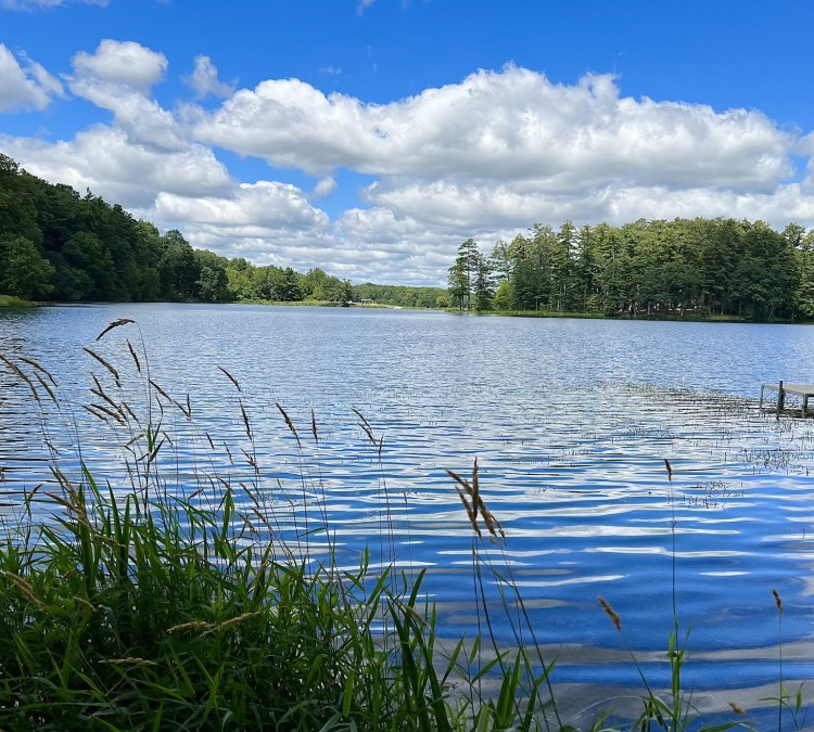 clear-lake-park-photo